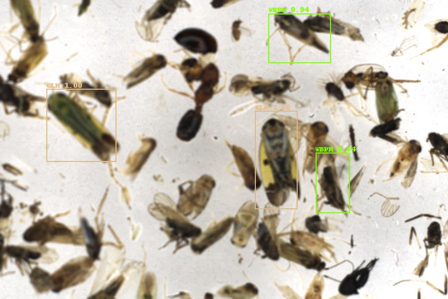 Image 32